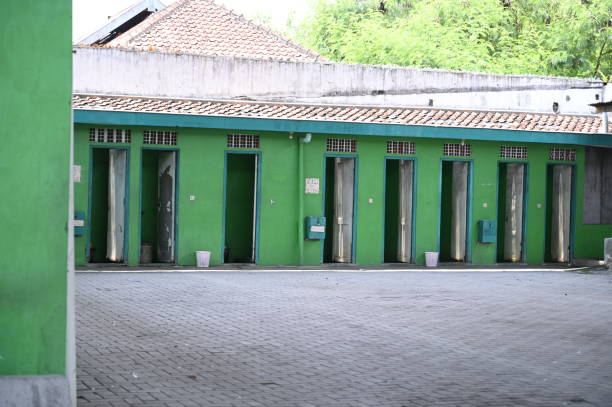 Best Affordable portable toilet rental  in Pima, AZ